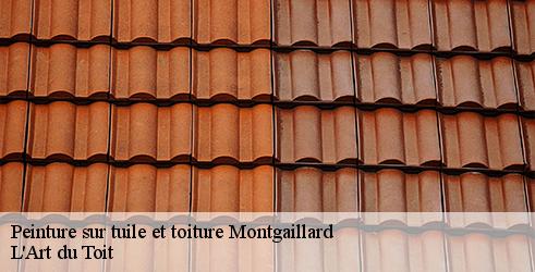 peinture-sur-tuile-et-toiture-l-art-du-toit-4