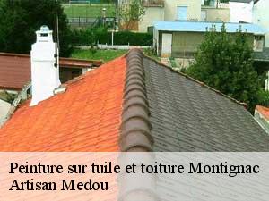peinture-sur-tuile-et-toiture-artisan-medou-7
