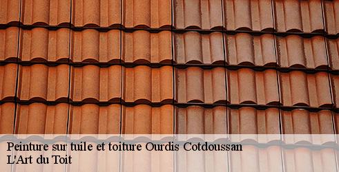 peinture-sur-tuile-et-toiture-l-art-du-toit-4