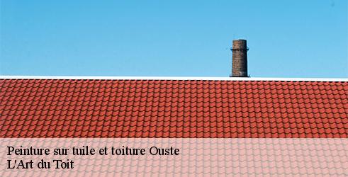 peinture-sur-tuile-et-toiture-l-art-du-toit-10