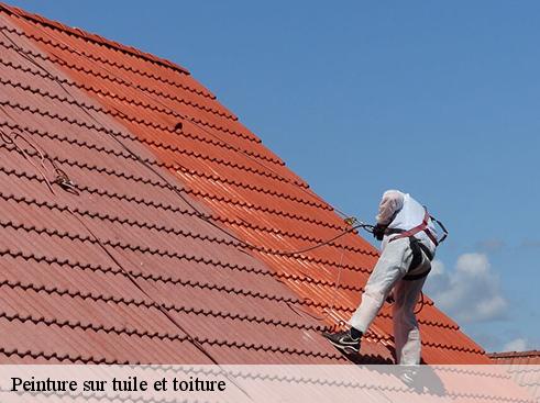peinture-sur-tuile-et-toiture-asdp-couverture-3