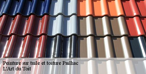 peinture-sur-tuile-et-toiture-l-art-du-toit-7