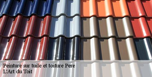 peinture-sur-tuile-et-toiture-l-art-du-toit-7