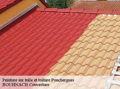 Peinture sur tuile et toiture  65240