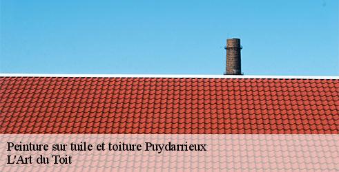 peinture-sur-tuile-et-toiture-l-art-du-toit-10