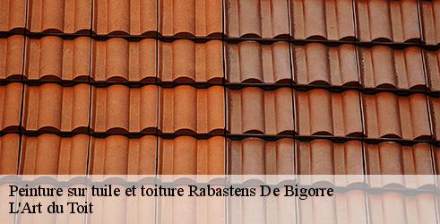 peinture-sur-tuile-et-toiture-l-art-du-toit-4