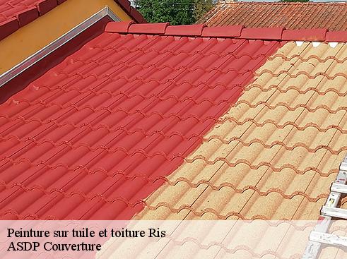 peinture-sur-tuile-et-toiture-asdp-couverture-4