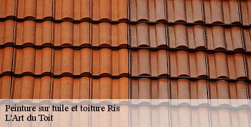 peinture-sur-tuile-et-toiture-l-art-du-toit-4