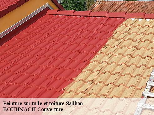 Peinture sur tuile et toiture 65170