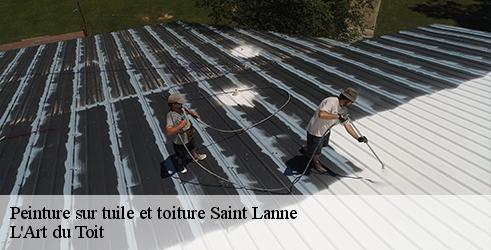 peinture-sur-tuile-et-toiture-l-art-du-toit-1