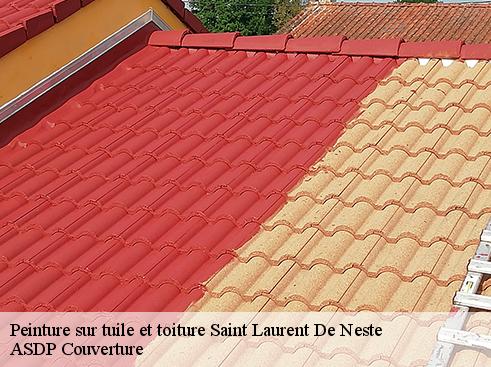 peinture-sur-tuile-et-toiture-asdp-couverture-4