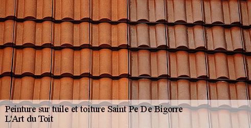 peinture-sur-tuile-et-toiture-l-art-du-toit-4