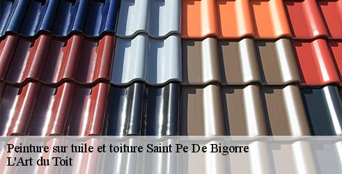 peinture-sur-tuile-et-toiture-l-art-du-toit-7