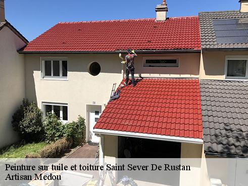 peinture-sur-tuile-et-toiture-artisan-medou-1