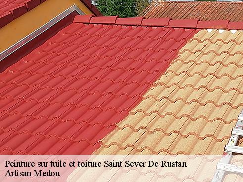 peinture-sur-tuile-et-toiture-artisan-medou-4