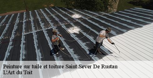 peinture-sur-tuile-et-toiture-l-art-du-toit-1