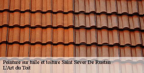 peinture-sur-tuile-et-toiture-l-art-du-toit-4