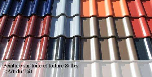peinture-sur-tuile-et-toiture-l-art-du-toit-7