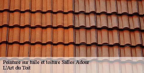 peinture-sur-tuile-et-toiture-l-art-du-toit-4