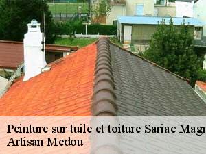 peinture-sur-tuile-et-toiture-artisan-medou-7