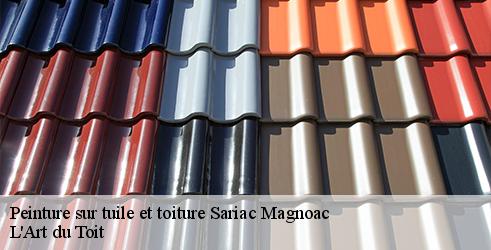 peinture-sur-tuile-et-toiture-l-art-du-toit-7