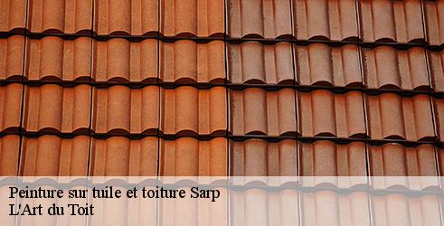 peinture-sur-tuile-et-toiture-l-art-du-toit-4