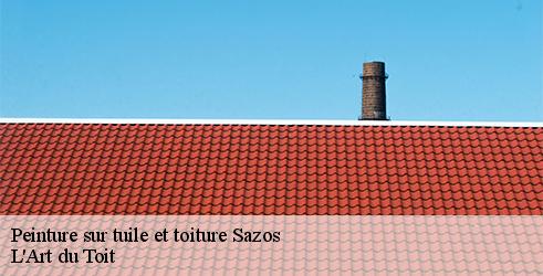 peinture-sur-tuile-et-toiture-l-art-du-toit-10