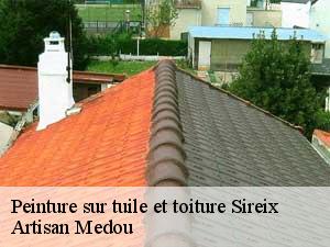 peinture-sur-tuile-et-toiture-artisan-medou-7
