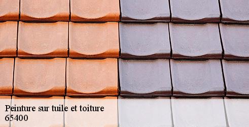 peinture-sur-tuile-et-toiture-l-art-du-toit-5