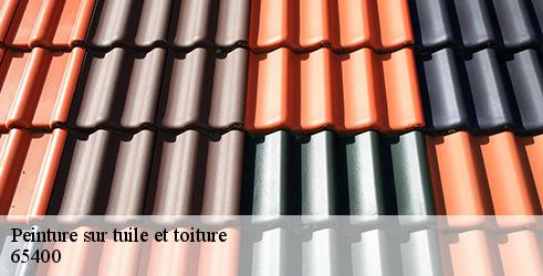 peinture-sur-tuile-et-toiture-l-art-du-toit-8