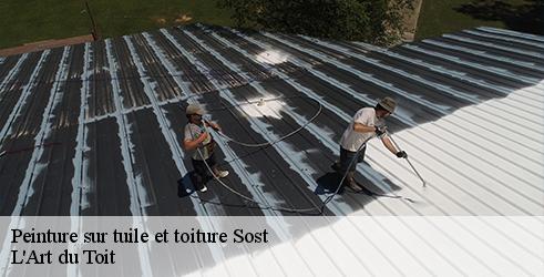 peinture-sur-tuile-et-toiture-l-art-du-toit-1