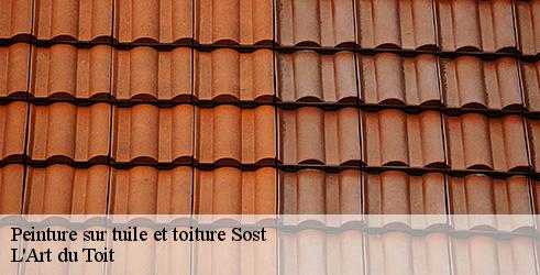 peinture-sur-tuile-et-toiture-l-art-du-toit-4