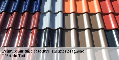 peinture-sur-tuile-et-toiture-l-art-du-toit-7