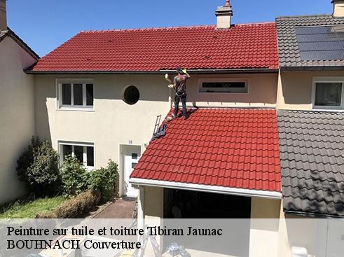 Peinture sur tuile et toiture  tibiran-jaunac-65660 Artisan Medou