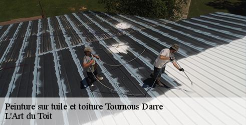 peinture-sur-tuile-et-toiture-l-art-du-toit-1