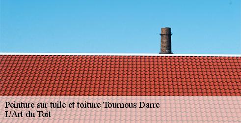 peinture-sur-tuile-et-toiture-l-art-du-toit-10
