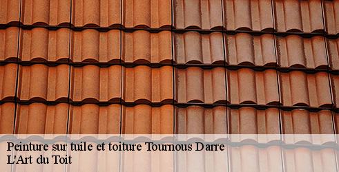 peinture-sur-tuile-et-toiture-l-art-du-toit-4