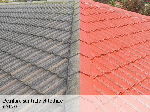 Peinture sur tuile et toiture 65170
