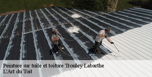 peinture-sur-tuile-et-toiture-l-art-du-toit-1
