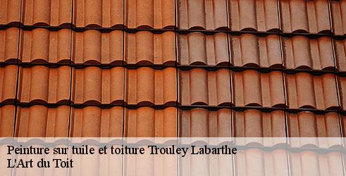 peinture-sur-tuile-et-toiture-l-art-du-toit-4