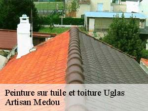 peinture-sur-tuile-et-toiture-artisan-medou-7