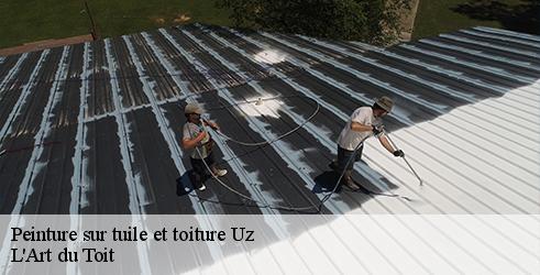 peinture-sur-tuile-et-toiture-l-art-du-toit-1