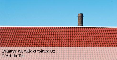 peinture-sur-tuile-et-toiture-l-art-du-toit-10