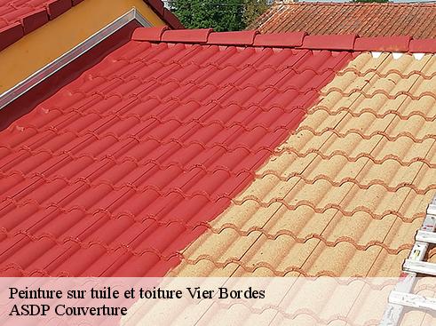peinture-sur-tuile-et-toiture-asdp-couverture-4