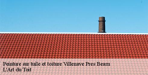 peinture-sur-tuile-et-toiture-l-art-du-toit-10