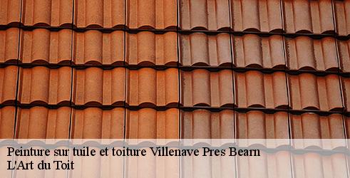 peinture-sur-tuile-et-toiture-l-art-du-toit-4