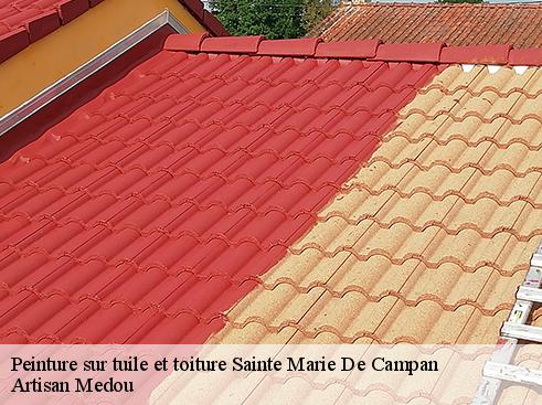 peinture-sur-tuile-et-toiture-artisan-medou-4