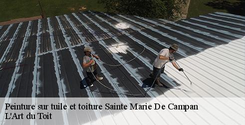 peinture-sur-tuile-et-toiture-l-art-du-toit-1