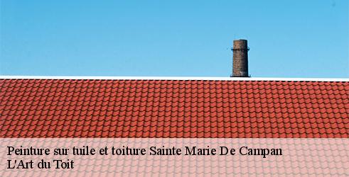 peinture-sur-tuile-et-toiture-l-art-du-toit-10