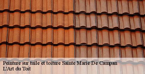 peinture-sur-tuile-et-toiture-l-art-du-toit-4